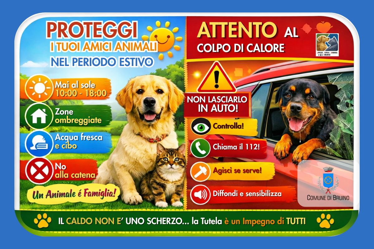 ANIMALI_sito